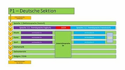 csm_P1-DeutscheSektion
