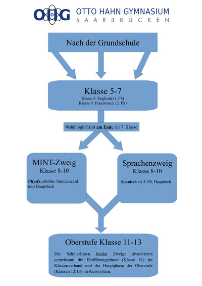 Schullaufbahn_am_OHG_2025_1