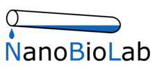 csm_NBL_Logo_neu_4k_final_update_2024_offiziell_ohne_Hintergrund_b121e54a01