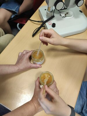 Bild2